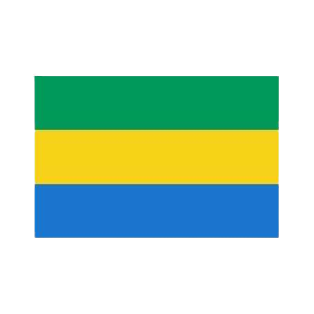 drapeau du gabon